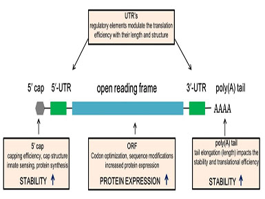 鉴黑网加帽试剂相关发明专利获得国家知识产权局受理